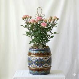 رز مینیاتوری - 1